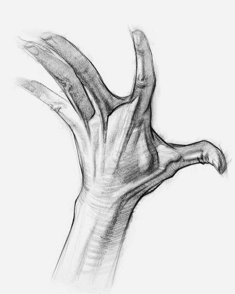 Learn how to draw hands - proko.com/200 Artistic Anatomy, Hand Sketches, Male Figure Drawing, Draw Hands, Drawing Hands, Human Anatomy Drawing, Human Figure Drawing, Hand Drawing Reference, Anatomy Sketches