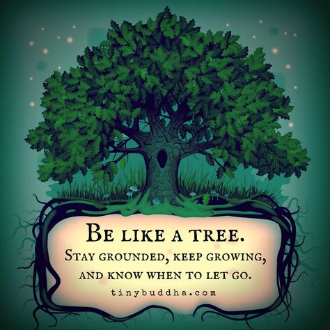 Be like a tree. Stay grounded, keep growing, and know when to let go. Leaf Quotes, When To Let Go, Tree Quotes, Tiny Buddha, Heart Healing, Keep Growing, Stay Grounded, Let Go, Good Advice