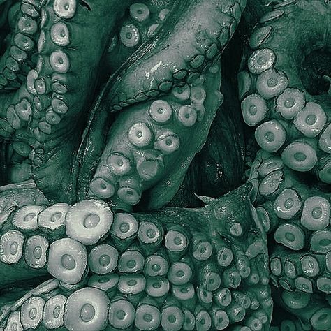 Green Octopus Aesthetic, Giant Squid Aesthetic, Deep Sea Scary, Sea Serpent Aesthetic, Tentacle Aesthetic, Squid Aesthetic, Kraken Aesthetic, Cthulhu Aesthetic, Horns Aesthetic