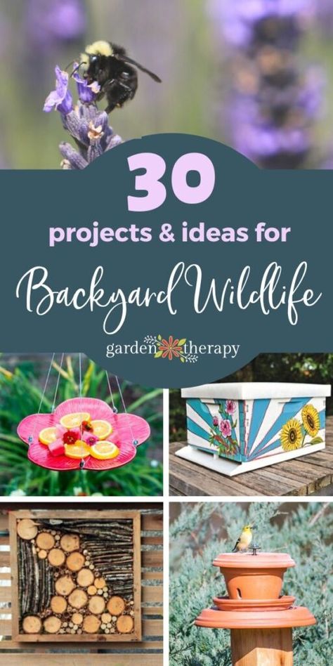 Permaculture, Nature, Backyard Habitat Ideas, Backyard Wildlife Habitat Ideas, How To Attract Wildlife To Your Yard, Wildlife Habitat Projects, Sanctuary Garden Ideas, Wildlife Friendly Backyard, Wildlife Garden Ideas Uk