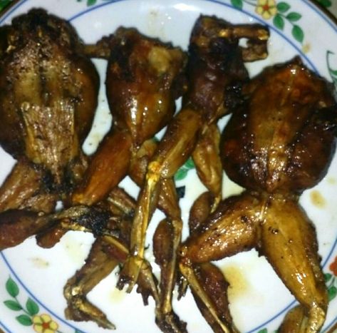 Fried Stuffed Frog Bad Thanksgiving Food, Terrible Cooking, Disgusting Food, Stuffed Frog, Restaurant Experience, Simple Family Meals, Gross Food, Easy Healthy Meal Prep, People Food