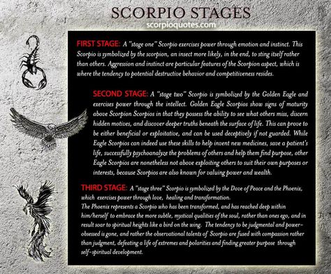 Scorpion Quotes, Horoscope Meanings, Scorpio Personality, All About Scorpio, Astrology Scorpio, Scorpio Traits, The Scorpions, Zodiac Scorpio, The Scorpio