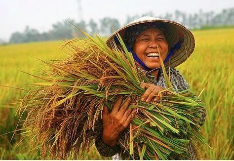 beautiful face Agriculture Pictures, Agriculture Photography, Agriculture Photos, Philippine Art, Painting Competition, Geometric Design Art, Love Culture, Historical Art, Style Challenge