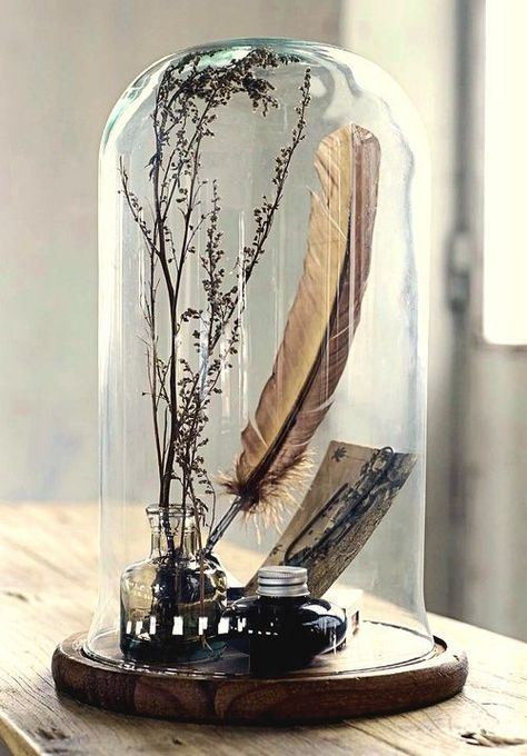 Do It Yourself Decoration, Cloche Decor, Glass Bell Jar, Glass Cloche, The Bell Jar, Glass Dome, Glass Domes, Home Fashion, Glass Jar