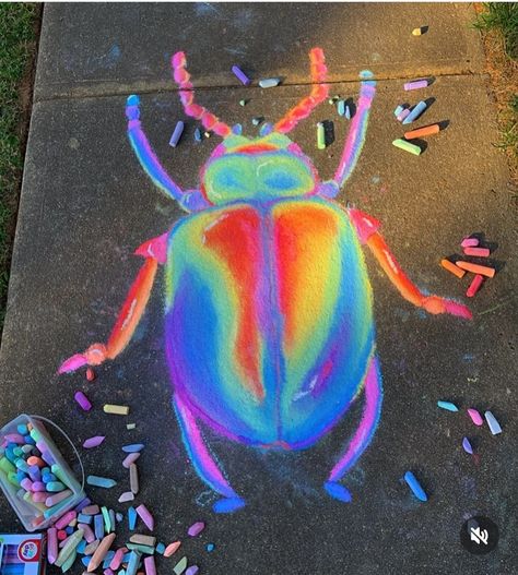 Beetle Doodle, Cute Beetle, Street Chalk Art, Fun Chalk Art, Sidewalk Chalk Art, Sidewalk Art, Arte Van Gogh, The Golden Hour, Chalk Drawings