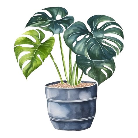 Illustration Plants, Wall Art Paper, Pot Plants, Illustration Botanique, Floral Clipart, Monstera Plant, Plant Painting, Plant Drawing, Plant Illustration