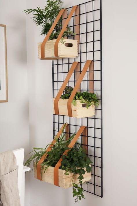 DIY Hanging Planter Shelf Hallway And Stairs Ideas, Stairs And Landing Ideas, Hallway Stairs And Landing, Landing Ideas, Balkon Decor, Diy Hanging Planter, Plant Decor Indoor, Paint Brands, Diy Hanging