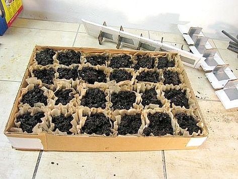 10 Clever Seed Starting Ideas- Coffee Filter Seed Tray- Start your seeds the frugal way with these 10 DIY upcycled seed starting containers! So many inexpensive everyday items can make great seed starters! | DIY seed starting container hacks, how to start seeds, frugal gardening, save money on gardening, gardening tips, upcycled seed starting containers, gardening hacks #gardening #seedStarting #ACultivatedNest Coffee Filters Diy, Seed Starting Containers, Seed Starters, Frugal Gardening, Seedling Pots, Coffee Filter Crafts, Starting Seeds Indoors, Areas Verdes, School Garden