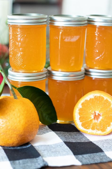 This flavorful homemade Satsuma Jelly recipe makes the perfect sweet and tangy citrus condiment perfect to serve with biscuits, toast, crackers, and a variety of foods. Orange Pepper Jelly Recipe, Canning Satsuma Oranges, Satsuma Marmalade Recipes, Satsuma Pepper Jelly Recipe, Satsuma Jelly Recipes, Satsuma Jam Recipe, Satsuma Jelly, Orange Pepper Jelly, Vegan Canning