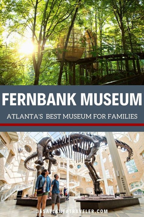 Top Family Vacations, Atlanta Museums, Southern Aesthetic, Nature Story, Georgia Travel, Family Vacation Ideas, Kids Money, Vacation Family, Amazing Places To Visit