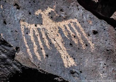 Petroglyphs Desert Southwest, Southwest Desert, Photography Photos, Light Photography, Etching, Image Search, Carving