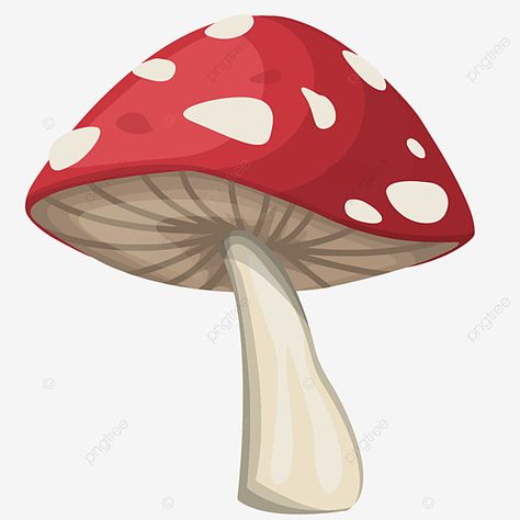 Red And White Mushrooms, Mushrooms Drawing, Spotted Mushroom, Mushroom Clipart, Red And White Mushroom, Valentines Day Drawing, Mushroom Images, Cartoon Mushroom, Mushroom Paint