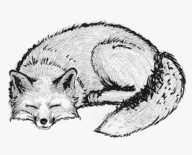 Lady Kristianna Explores the World: Sleeping Fox Drawing Sleeping Fox Drawing, Fox Pencil Drawing, Drawing Sitting, Fox Sketch, Outline Pictures, Sharpie Drawings, Fox Drawing, Drawing Examples, Fox Illustration