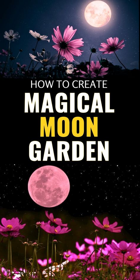 Design an enchanting moon garden that comes alive in the moonlight! This guide will help you select luminous plants, add lighting, and create a peaceful nighttime garden space. Perfect for adding mystery and magic to any backyard, these ideas are ideal for gardeners looking to enjoy their outdoor spaces in the evening. Learn how to add silver-toned foliage and fragrant, night-blooming flowers for a truly captivating garden. Save this for inspiration on creating your own moon garden! Moon Gardens At Night, Moon Garden Plants, Moon Garden At Night, Moon Garden Ideas, Nighttime Garden, Moon Gardens, Moon Gates, White Flowering Plants, Moonlit Garden