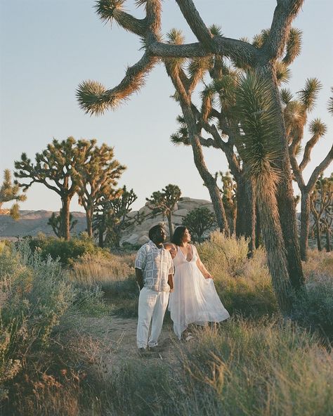 A trip to Joshua tree 🍄 35mm, medium format & digital Joshua Tree Engagement Photos, Film Engagement Photos, Desert Engagement Photos, Joshua Tree Engagement, Dream Weaver, Couples Portraits, Couples Engagement Photos, Film Wedding Photography, Wedding Film