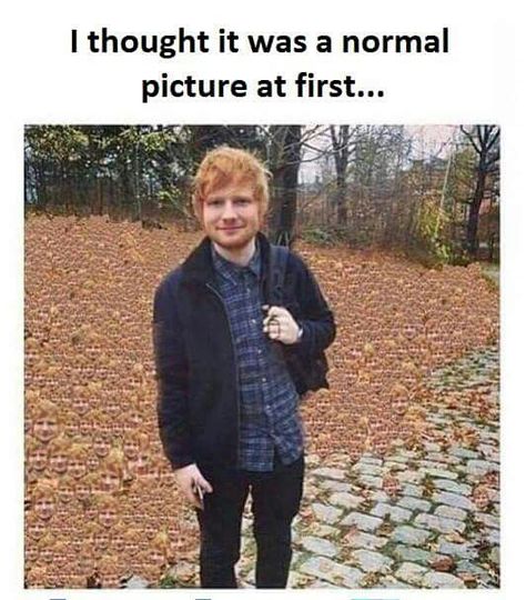 I thought it was a normal picture at first When You See It, Six Feet Under, Memes Humor, E Card, Memes Kpop, Ed Sheeran, Funny Pins, Optical Illusions, Funny Posts