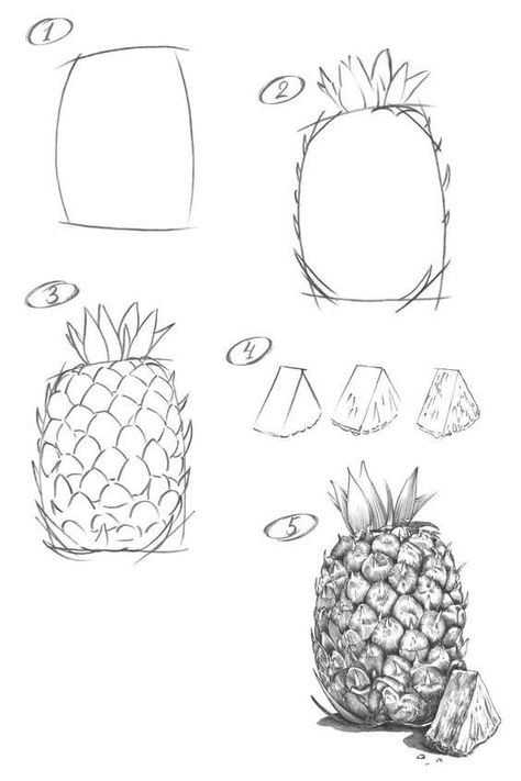 How To Draw Fruit Step By Step, How To Draw A Pineapple, Drawing Fruit Pencil, Easy Pineapple Drawing, Pineapple Drawing Simple, Fruit Drawing Pencil Sketches, Draw Pineapple, How To Draw Fruit, Fruits Sketch