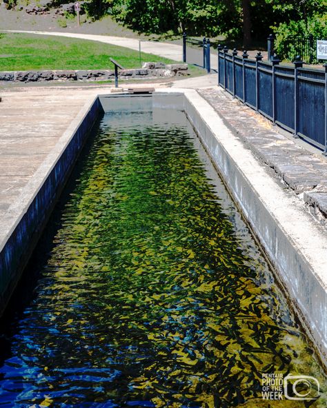 In our Featured Aquaculture Photo for the week, check out the #trout bays at the D.C. Booth Historic National Fish #Hatchery in Spearfish, #SouthDakota, one of the oldest fish hatcheries in the country. Take a peek inside #ThePentairLife * * * * * * #aquaculture #fishfarming #RAS #fish #fishgeek #recirculatingaquaculture #waterrecirculation #fish #fishfarmer #troutfarm #sustainablefood #sportfishing #pentairaes Trout Farm, Fish Hatchery, Aqua Culture, Boy Fishing, Fish Farming, Sustainable Food, Sport Fishing, Railroad Tracks, Take A