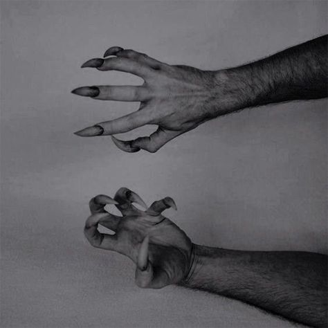 A set of male hands with sharp, supernatural appearing claws. Beauty And The Beast Original, Howleen Wolf, The Wolf Among Us, Werewolf Aesthetic, Half Elf, Teen Tv, Catty Noir, Allison Argent, She Wolf