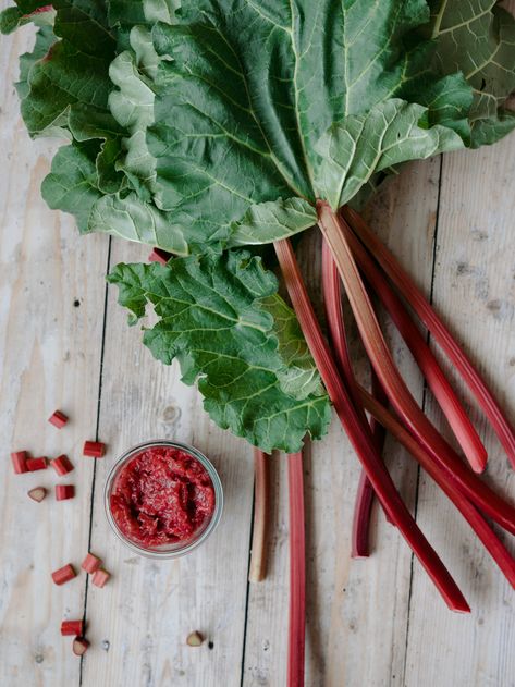 Last week a friend took me foraging. We finished our walk in the kitchen sipping on herbal tea and nibbling on blueberry muffins. She sent me home with giant stalks of the deepest strawberry pink rhubarb I have ever seen fresh from the garden. I couldn’t wait to get home and cook something up with it. Rhubarb […] Infused Sugar, Rhubarb Jam, Strawberry Pink, Blueberry Muffins, Blue Berry Muffins, Match Making, Herbal Tea, Rhubarb, Small Batches