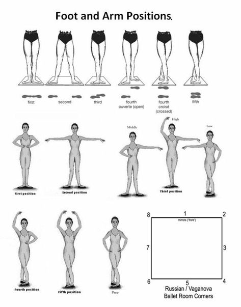 Ballet arm/leg positions Education, Ballet, Performing Arts, Art Education, Ballet Poses, Graduate School, Performance Art