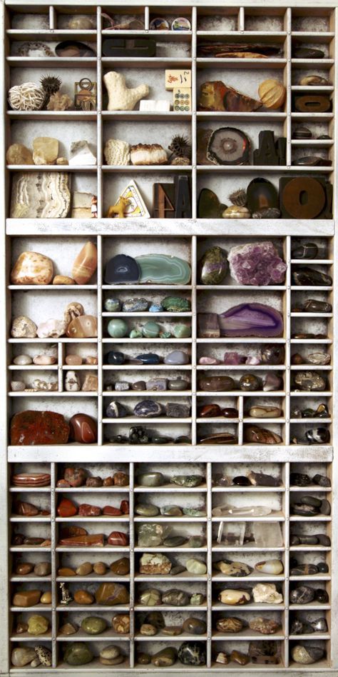 Rock Collection Display, Wall Displays, Spiritual Stuff, Printers Tray, Deco Nature, Cabinet Of Curiosities, Chakra Balancing, Rock Collection, Minerals And Gemstones