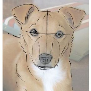 How to Draw Dogs - Draw a Dog From a Photograph - Easy Step by Step Drawing Tutorial - Learn How To Draw A Dog and Cute Puppies - Cartoon and Realistic Animals Dog Drawing Tutorial, Dogs Drawing, Draw A Dog, Dog Sketch, 강아지 그림, Drawing Cartoon, Arte Sketchbook, Arte Animal, Dog Drawing