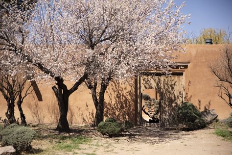 Visitors can take a trip to Georgia O'Keeffe's former home and studio in Abiquiu, New Mexico, and get a sense of the landscape and surroundings that inspired her. Abiquiu New Mexico, Concrete Siding, Midcentury Home, Rammed Earth, House Building, Mid Century House, The Landscape, New Mexico, House Tours