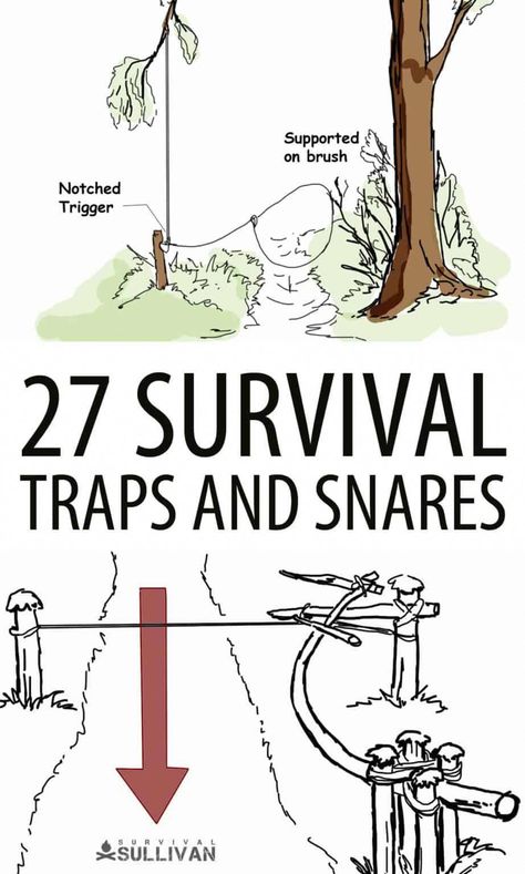 Preppy Camping, Primitive Traps, Survival Traps, Survival Skills Emergency Preparedness, Off Grid Survival, Shtf Survival, Survival Knots, Survival Skills Life Hacks, Emergency Preparedness Kit