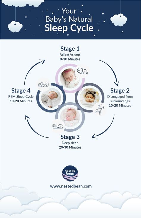 Your baby may have your eyes or your lips, but when it comes to sleep, the two of you are quite dissimilar.  Sleep might seem rather simple to you, but there's a lot more to sleep than simply "awake" and "asleep." Our newborn sleep cycle chart shows the 4 different sleep phases: Newborn Sleep Cycle, Sleep Cycle Chart, Rem Sleep Cycle, Cycle Chart, Sleep Chart, Sleep Phases, Snoring Remedies, Age Appropriate Chores, How To Stop Snoring