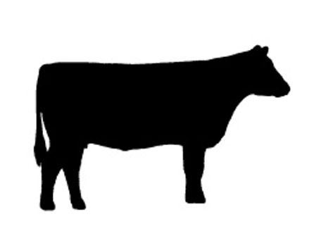 Cattle Silhouette, Cow Silhouette, Hereford Cows, Animal Paintings Acrylic, Beef Cow, Cow Logo, Dairy Cattle, Barn Wood Crafts, Cow Pictures