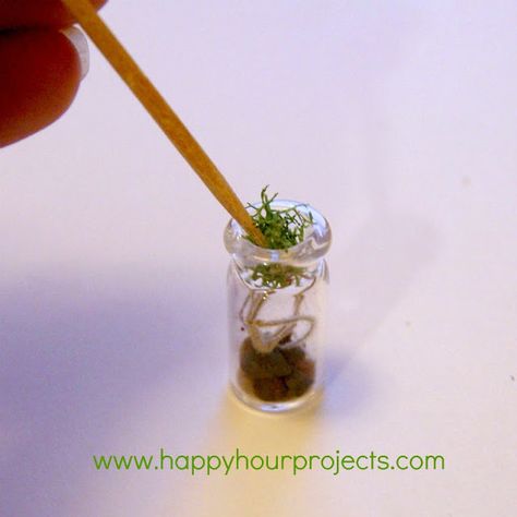 Nature, Succulent Arrangements, Tiny Terrarium, I Love My Husband, Terrarium Necklace, I Like Him, Glass Terrarium, Love My Husband, Glass Containers