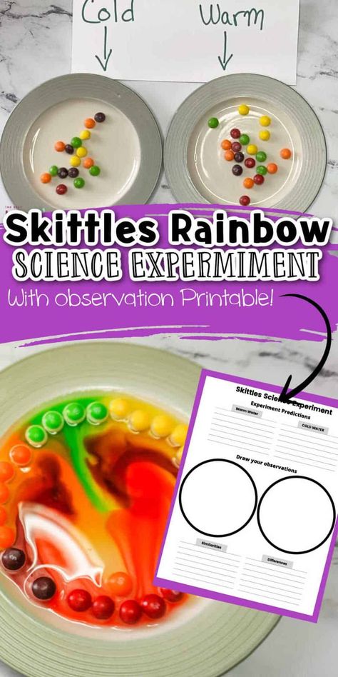 This easy skittles experiment is one that the kids will love, and while having fun they will be learning too! With this Easy Rainbow Skittles science experiment kids will learn about absorption, dissolving, and Water stratification. Skittle Rainbow Experiment, Rainbow Skittles Science Experiment, Skittle Science Experiment, Skittles Experiment For Kids, Skittles Science Fair Project, Skittle Experiment, Skittles Rainbow Experiment, Skittles Science Experiment, Skittles Science