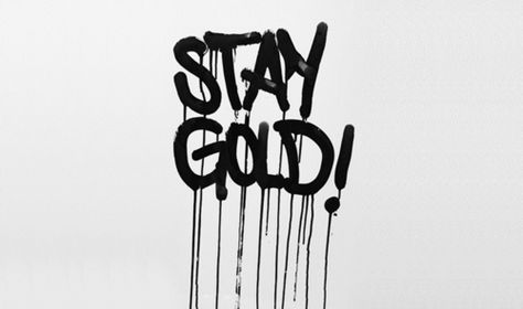 Stay gold | quote Stay Gold Ponyboy, Graffiti Text, Nothing Gold Can Stay, Gold Art Print, Stay Gold, Graffiti Lettering, The Words, Stockholm, Street Art