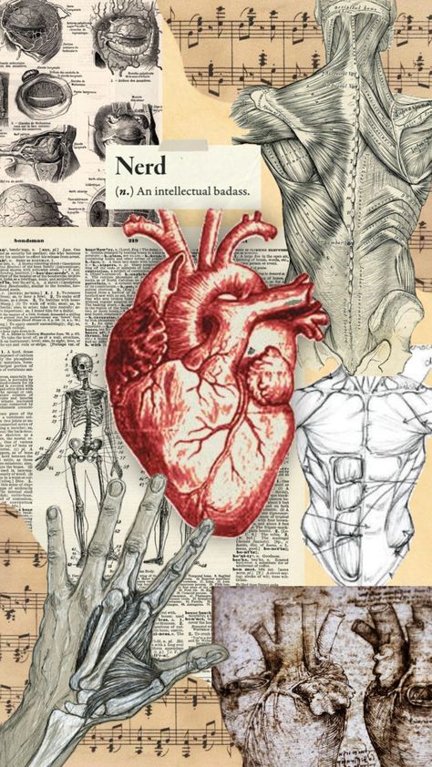 #anatomyaesthetic #darkaestheticwallpaper #vintage #anatomy Vintage Medical Art, Vintage Anatomy, Nursing School Essential, Textiles Sketchbook, Medical School Life, Aesthetic Doctor, Med School Motivation, Medical Wallpaper, Human Body Anatomy