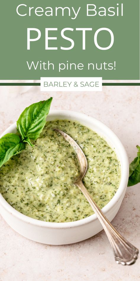 Homemade Creamy Basil Pesto Mini Food Processor Recipes, Pesto Cream Sauce, Pesto Ravioli, Basil Pesto Recipe, Pesto Sauce Recipe, Homemade Pesto Recipe, College Recipes, Broccoli Pasta Recipe, Processor Recipes