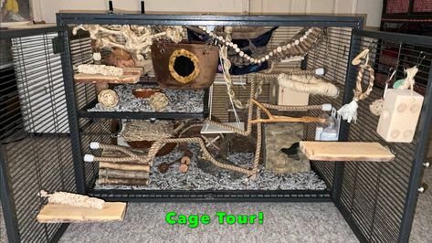 Critter Nation Cage Ideas, Critter Nation Rat Cage, Rat Cage Ideas, Critter Nation Cage, Rat Cage, Rats, I Hope, Quick Saves, Art