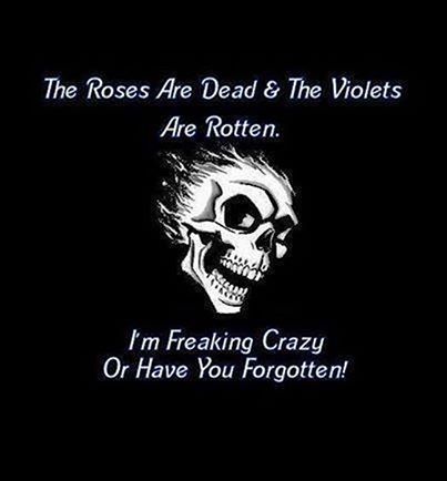 Im Crazy Pictures, Photos, and Images for Facebook, Tumblr ... Skull Art, Humour, Zombies, Skeleton Quotes, Skeleton Artwork, Skull Quote, Edgy Wallpaper, Im Crazy, Badass Quotes