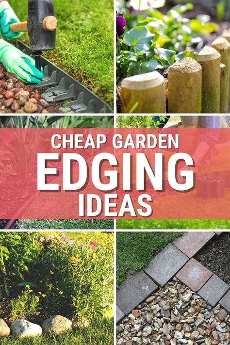 Simple Edging Landscape, Easy Flower Bed Edging, Simple Garden Borders, Flower Garden Border Ideas, Easy Edging Landscape, Landscape Border Ideas Cheap, Landscape Edging Ideas Diy, Cheap Edging Ideas, Lawn Edging Ideas Cheap