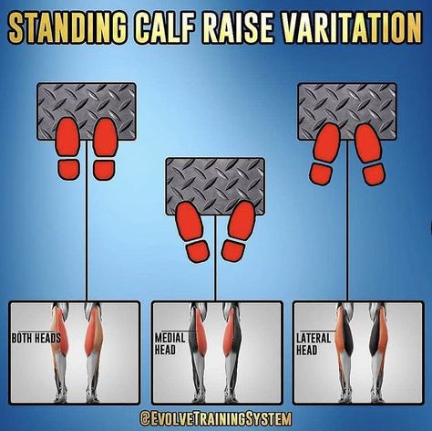 Best Calf Exercises, Standing Calf Raise, Leg Workouts Gym, Calf Exercises, Trening Sztuk Walki, Gym Antrenmanları, Muscle Abdominal, Gym Workout Chart, Leg Exercises