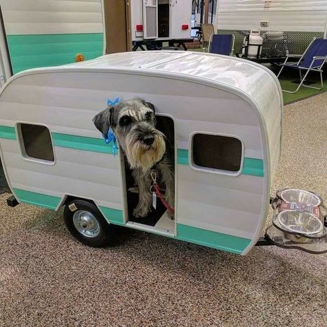 Camper Dog House, Dog Camper, Puppy Necessities, Playground Diy, Rv Dog, Camper Dog, Luxury Dog House, Litter Box Ideas, Modern Birdhouses