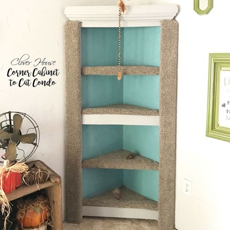 A husband and wife buy some carpet at Lowes—look at their awesome idea for a thrift store cabinet! Katt Diy, Cats Facts, Katt Grejer, Chat Diy, Kat Diy, Diy Cat Tree, Cats Diy Projects, Gallery Ideas, Russian Blue Cat