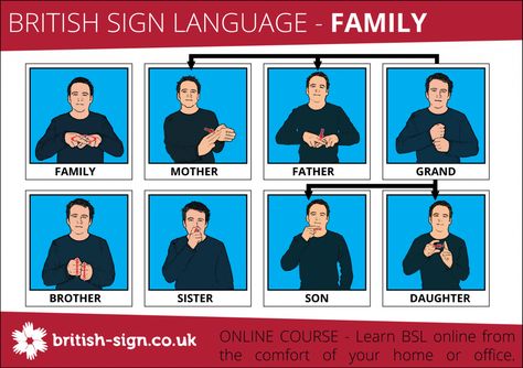 British Sign Language Family Signs British Sign Language Alphabet, English Sign Language, Learn Bsl, Sign Language For Toddlers, Makaton Signs, Learn Any Language, Sign Language For Kids, Sign Language Lessons, Sign Language Phrases