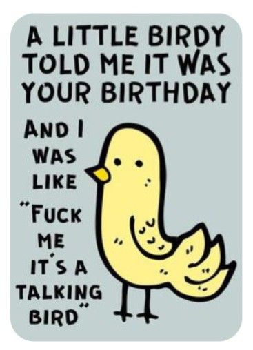 Sarcastic Happy Birthday, Sarcastic Birthday Wishes, Sarcastic Birthday, Birthday Greetings Funny, Funny Happy Birthday Wishes, Happy Birthday Quotes Funny, Happy Birthday Meme, Happy Birthday Funny, Birthday Quotes Funny