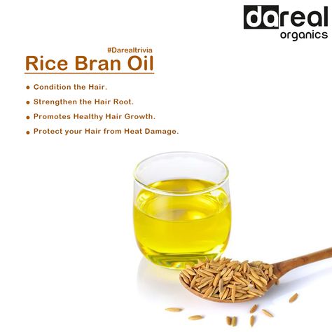 Rice Bran Oil Benefits, Benefits Of Rice, Oils Benefits, Natural Oils For Skin, Healthy Rice, Hair School, Oil Skin, Job Tweets, Live Healthy