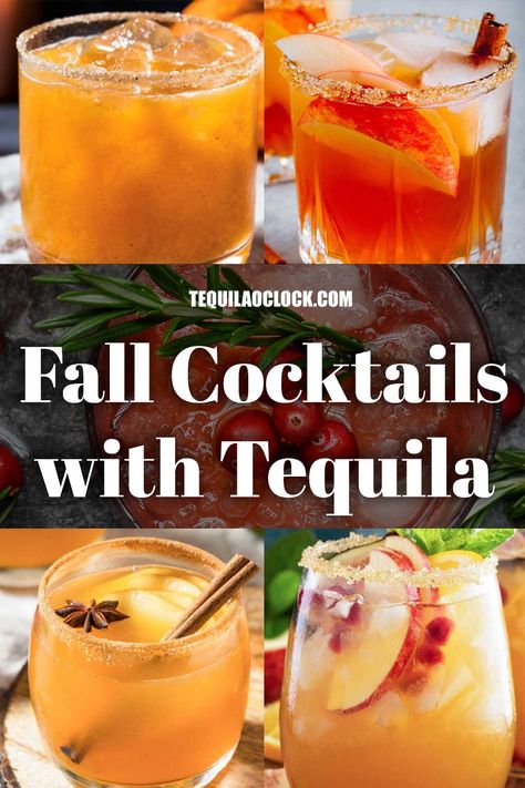 5 Must Make Fall Tequila Cocktails | Tequila O'Clock Cinnamon Infused Tequila, Tequila And Apple Juice, Apple Tequila Cocktail, Fall Cocktail Tequila, Fall Tequila Punch, Apple Cider Tequila Cocktail, Canada Dry Cocktails, 1800 Mixed Drinks, Thanksgiving Cocktails With Tequila