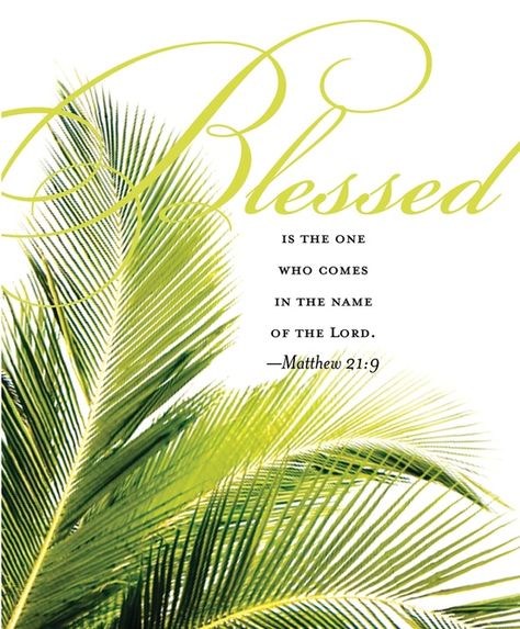 Today is the start of Holy Week and Palm Sunday. Palm Sunday celebrates Jesus procession into Jerusalem where people threw down palm fronds to celebrate his entry into the holy city. Many religions… Psalm Sunday, Palm Sunday Quotes, Happy Palm Sunday, Hosanna In The Highest, Sunday Prayer, Holiday Wallpapers, Sunday Images, Morning Sunday, Church Bulletin