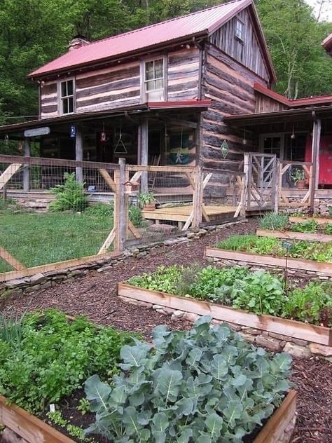 Appalachian Home Decor, Appalachian Garden, Appalachian Decor, Appalachian Farmhouse, Appalachian Cabin, Appalachian Home, Appalachian Farm, Appalachian Homestead, Unique Landscaping