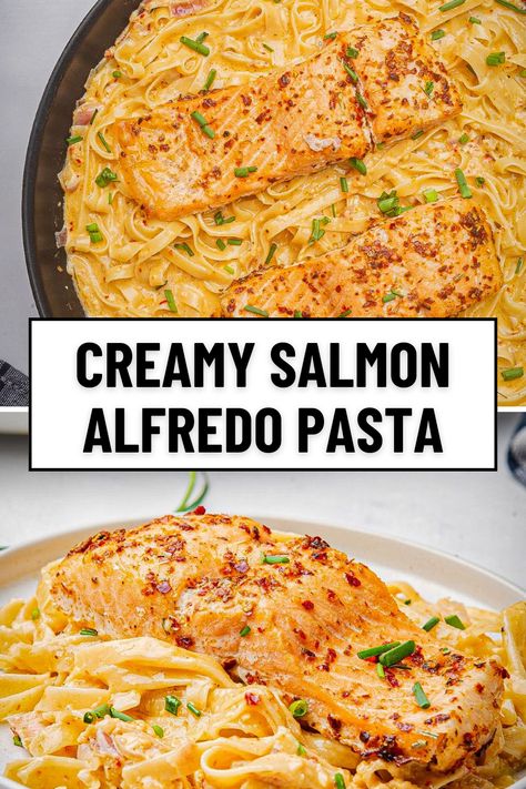 Serve up a crowd-pleaser with this creamy salmon Alfredo pasta! Blackened salmon and rich Cajun Alfredo sauce create a salmon pasta recipe that's as easy as it is delicious. Perfect for a special occasion or a quick weeknight meal! Cajun Alfredo Pasta Crockpot, Alfredo Pasta With Salmon, Pasta For Salmon, Salmon And Alfredo Pasta, Spicy Salmon Pasta, Pasta With Salmon Recipe, Pasta Salmon Recipes, Salmon Linguine Recipes, Cajun Fettucini Alfredo