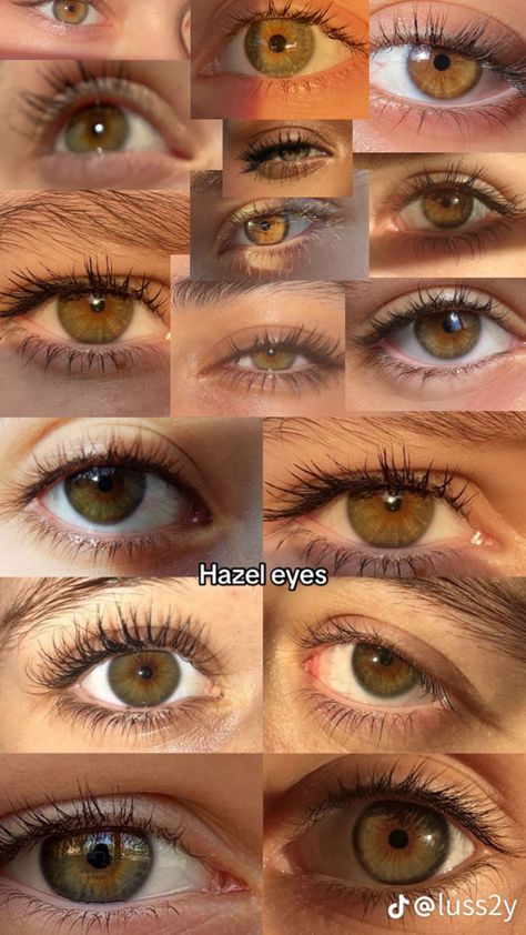 Who agrees w/ me that hazel is one of the prettiest eye colors in the world?? Hazle Eyes, Brown Hair And Hazel Eyes, Pretty Eyes Color, Hazel Brown Eyes, Brown Eyes Aesthetic, Natural Contact Lenses, Hazel Green Eyes, Eye Color Chart, Hazel Color